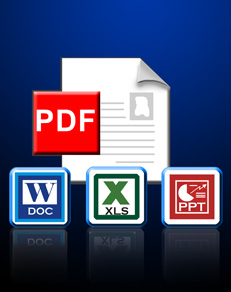 PDF to Excel, PDF to PPT, PDF to Word